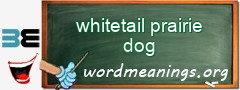 WordMeaning blackboard for whitetail prairie dog